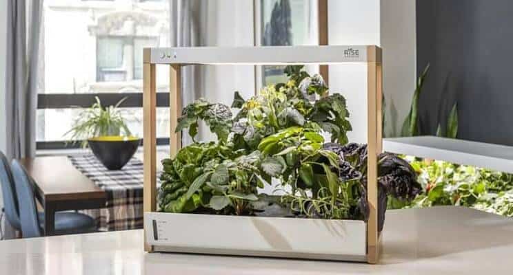 Indoor smart garden