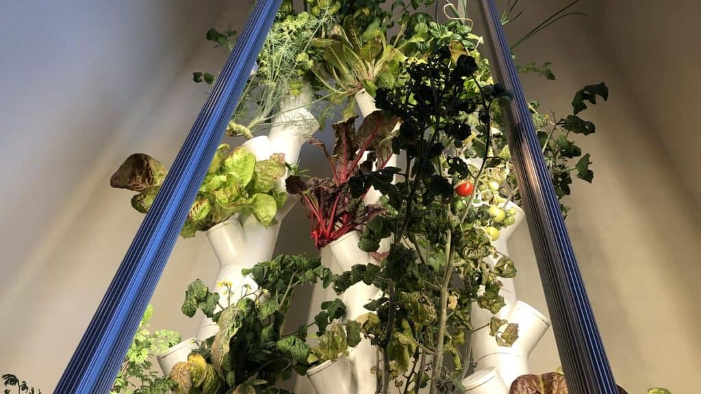 Indoor smart garden