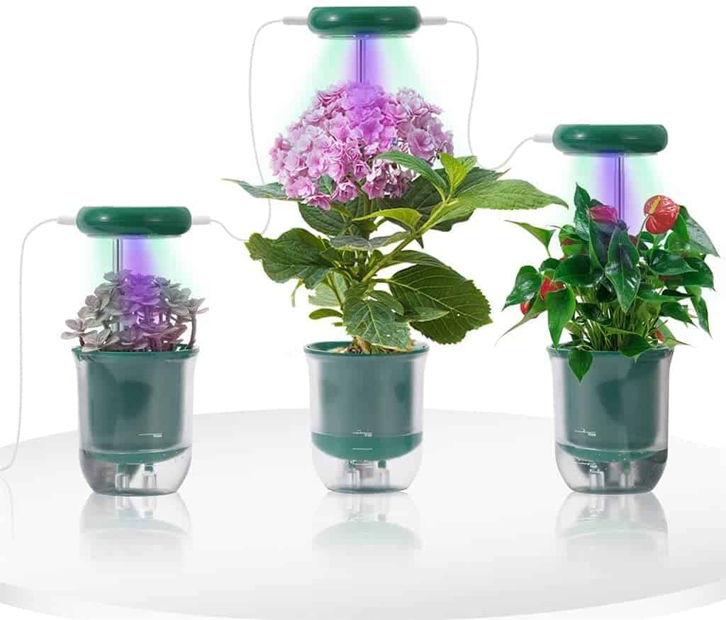 Self-watering planter