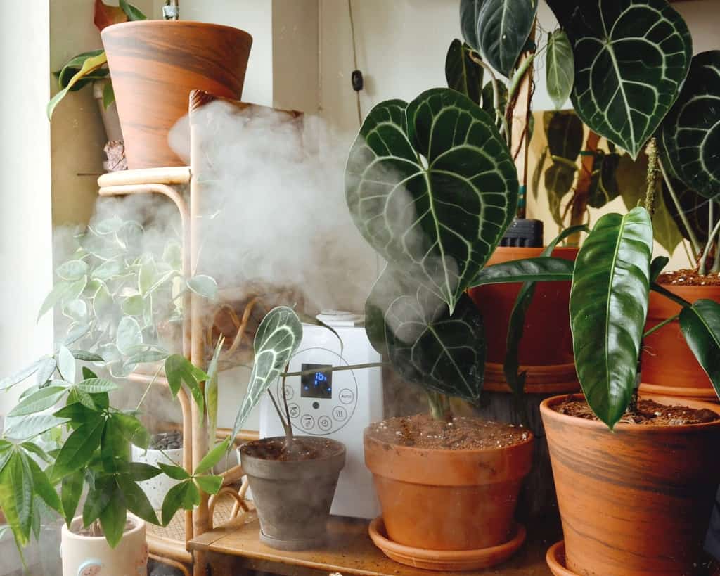 Humidifier for plants 4