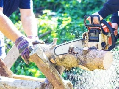 Best rated gas chainsaws