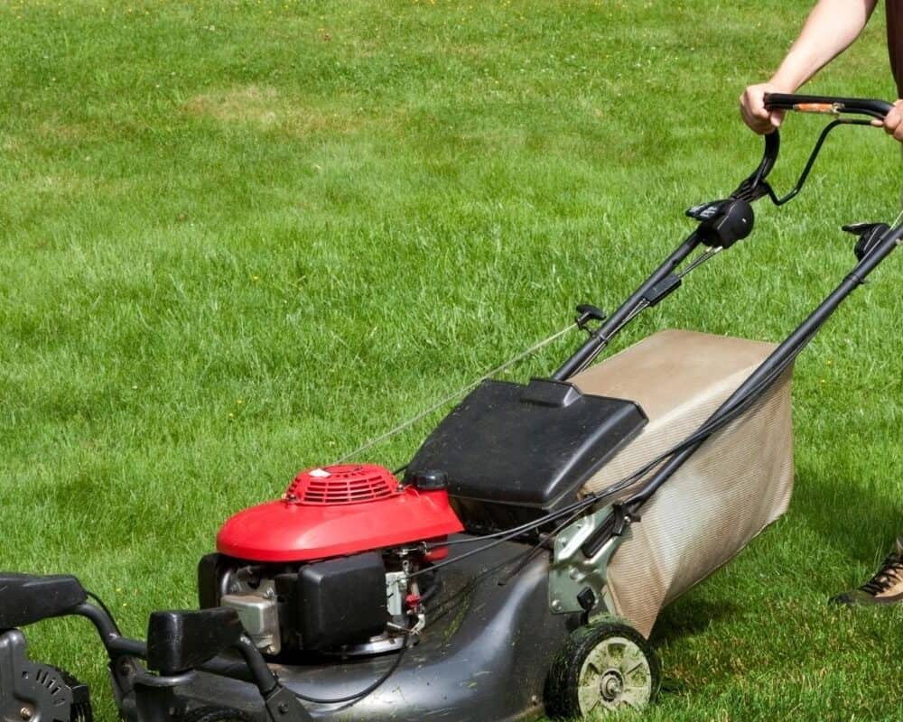 2 Best Push Lawn Mower From Amazon That You Can Get!