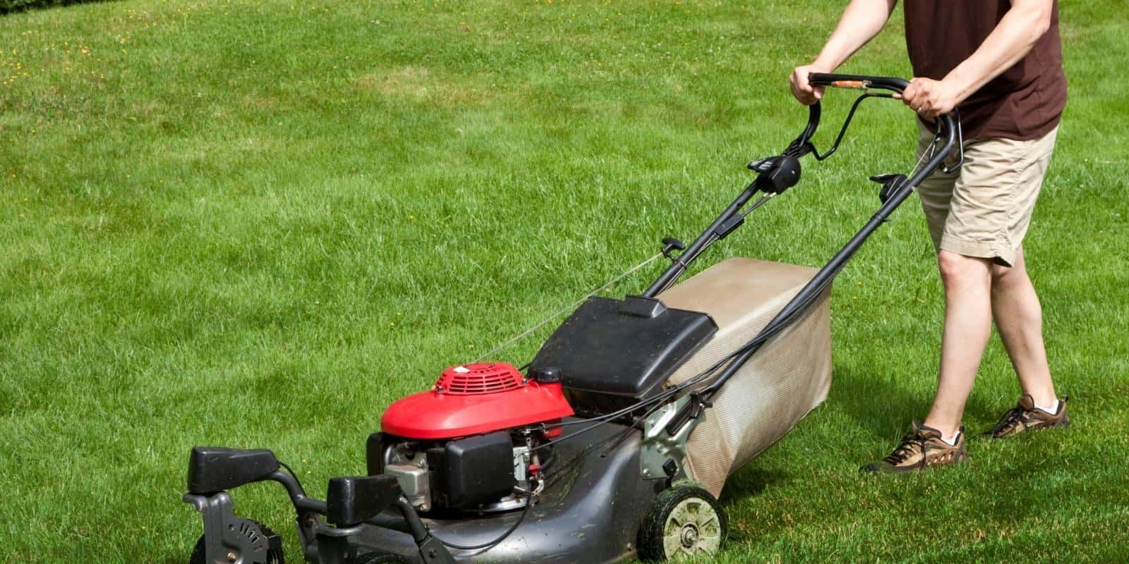 Best push lawn mower 1