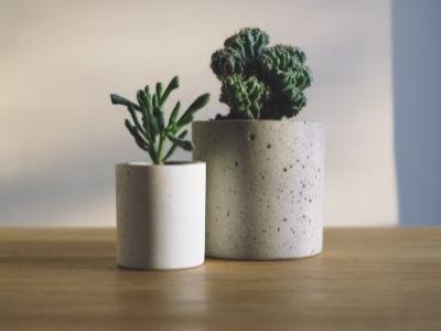 Which plant pots are best? 3 superb plant pot that you can have from amazon 3 Which plant pots are best