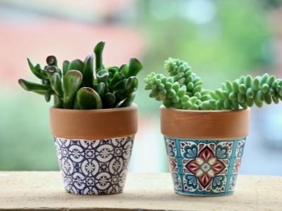 Which plant pots are best