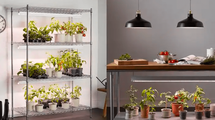 Grow lights for indoor gardening 2