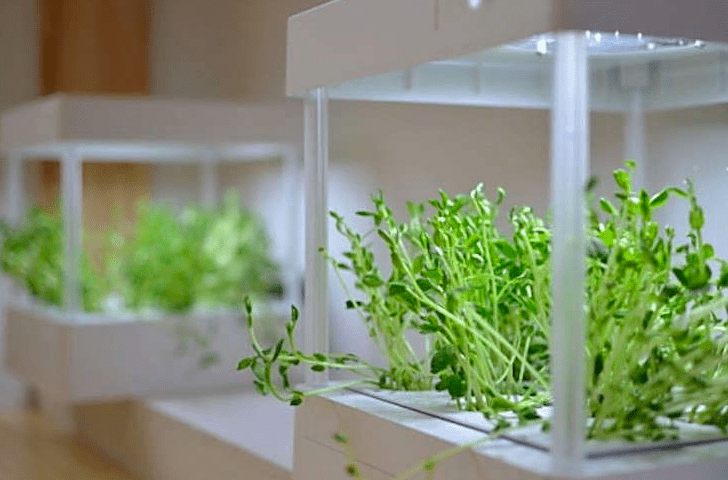 Grow lights for indoor gardening 1