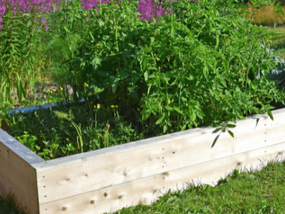 Raised Garden Bed Plans: 6 Awesome Benefits and Guide