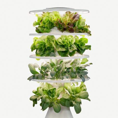 Hydroponic tower 2