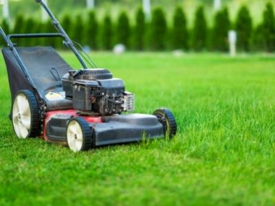 Gas lawn mower buying guide