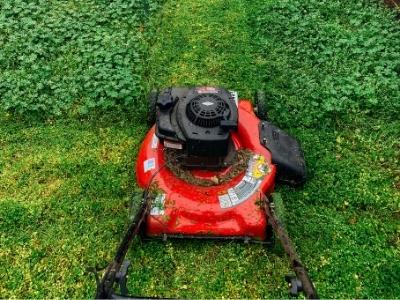 Snapper 82 Volt Mower Review: 7 Superb Reasons Why You Should Have This Lawn Mower