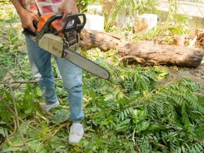 Cordless Chainsaw VS Gas: 4 Superb Explanation About It That You Should Know