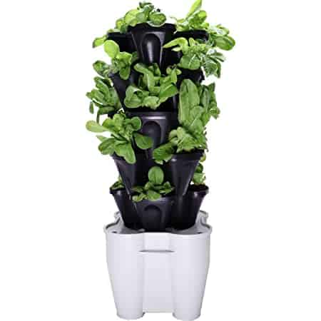 Hydroponic tower 6
