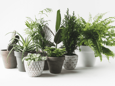 Which plant pots are best 2