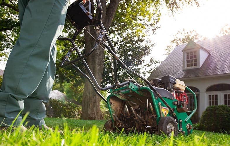 What To Look For Before Aerating Yard: 4 Superb Things To Look