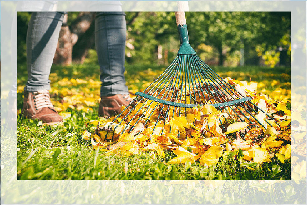 How to rake the lawn