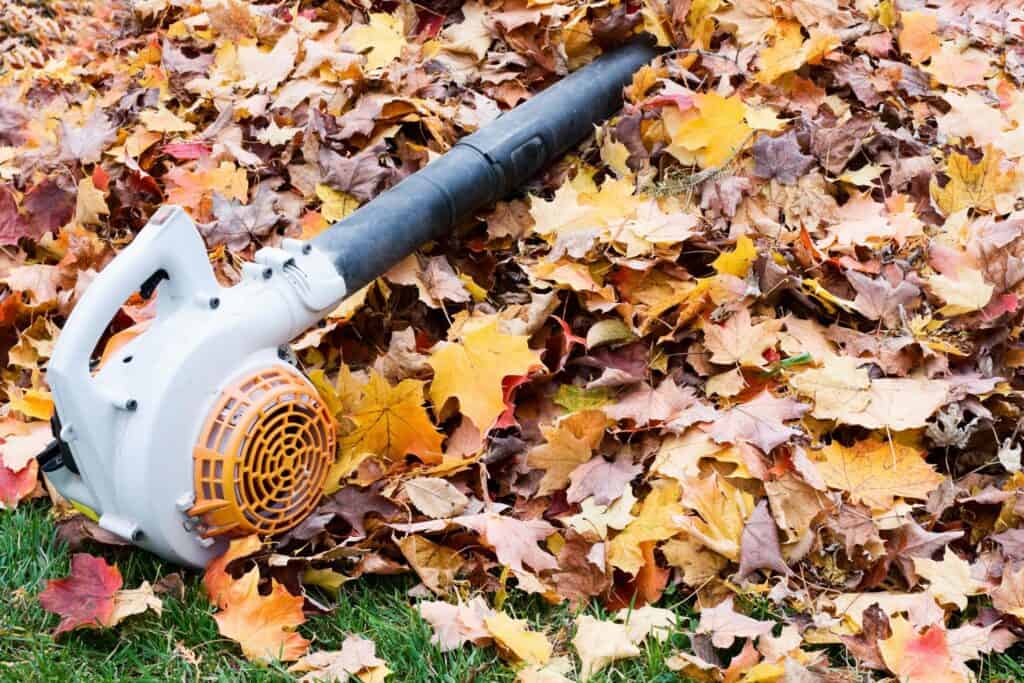 Maintain your leaf blower