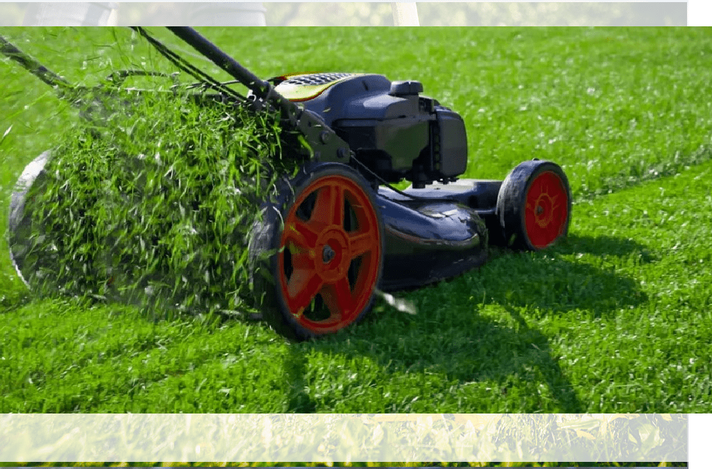 Why is Lawn Mower Turning Over But Not Starting – Top 5 Best Reasons Riding Lawn Mower Not Starting