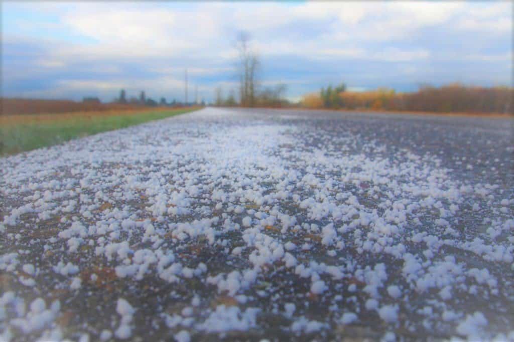 Using a salt spreader