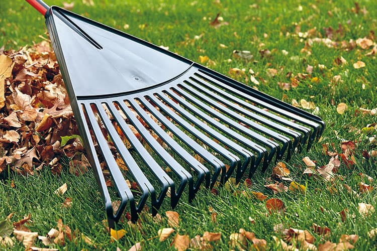 How to rake the lawn 1