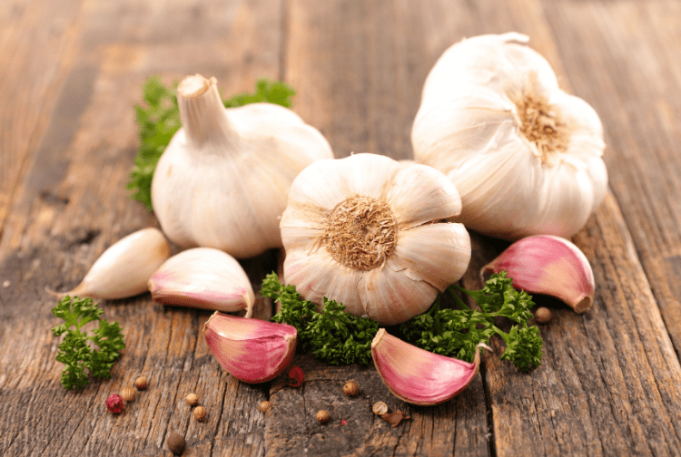 Where to Buy Elephant Garlic Bulbs For Planting? A Comprehensive Guide [2022]