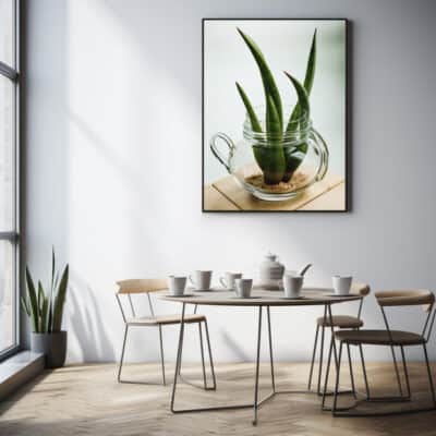 Snake plant and tea leaves 2