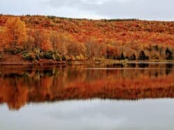 West virginia land for sale