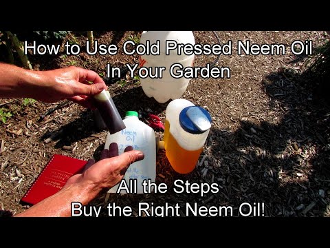 Best cold-pressed neem oil for plants 1