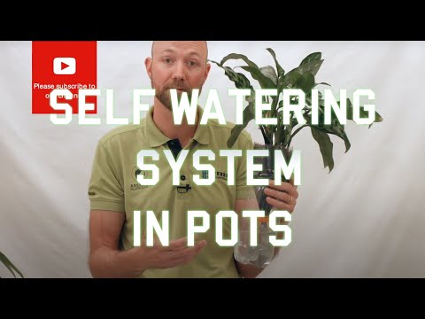 How do self watering pots work 1