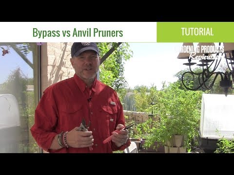 Anvil or bypass pruners 1