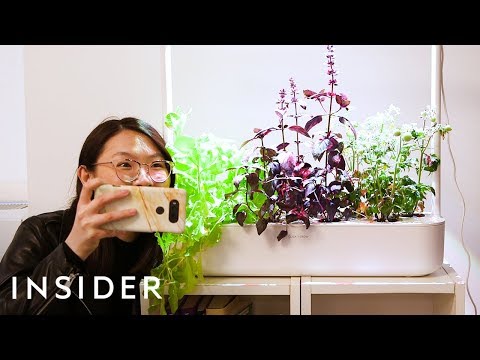 Indoor smart garden 1