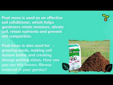 Peat moss as soil amendment 1